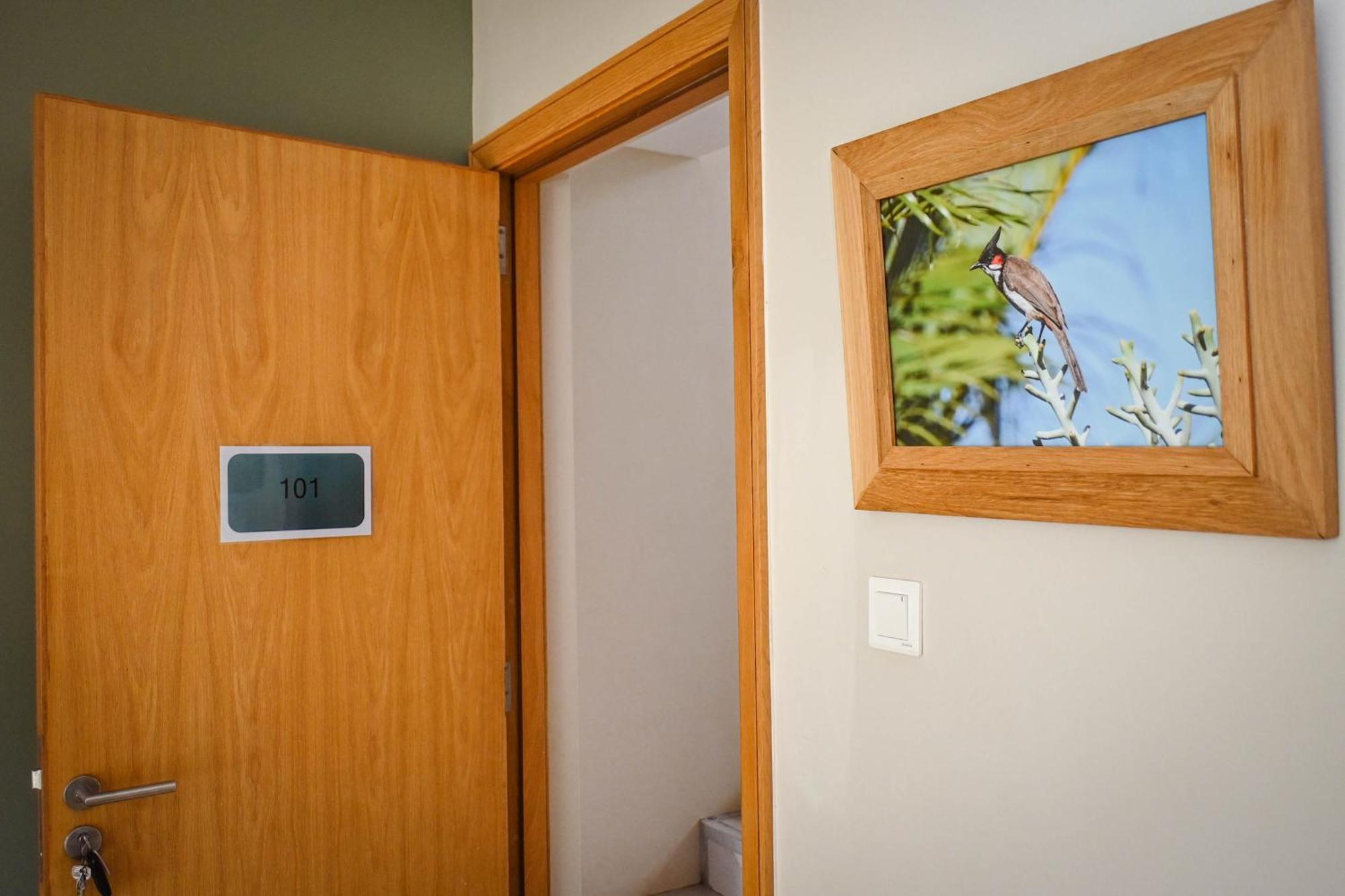 Bois Mapou Self Catering Apartments Unit 101 Riviere Noire Exterior photo